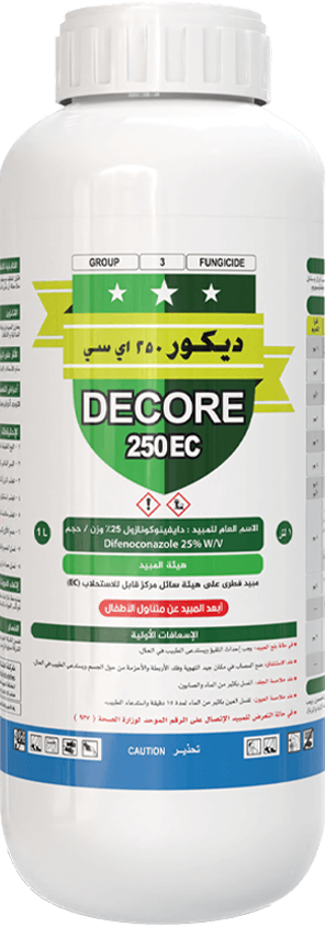 ديكور 250 اي سي