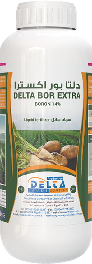 دلتا  بور  اكستر